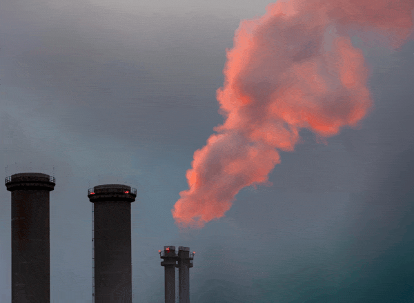 flue gas captured by a butterfly net