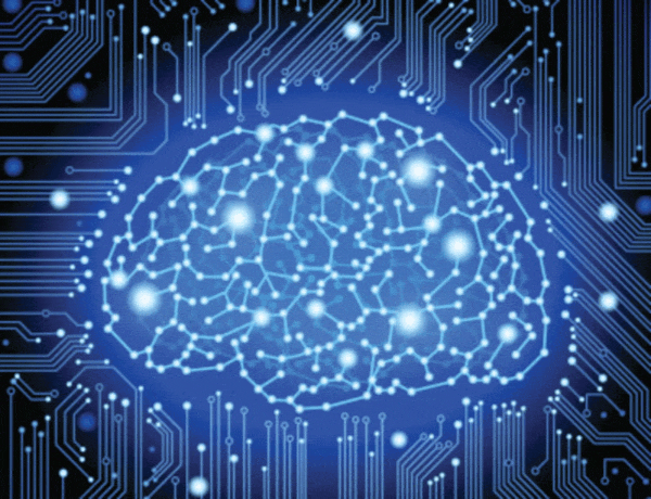 brain