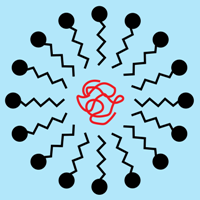 polymer and surfactant