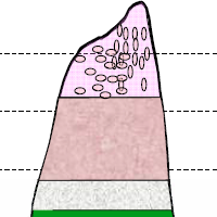 miscible schematic