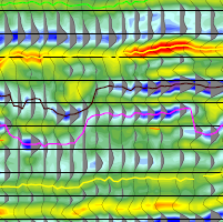 seismic section interpretation